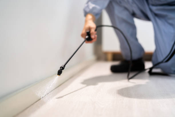 Licensed Cockroach Control service in Surry County County, VA - Nex Pest Control